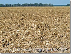 Wheat residue management