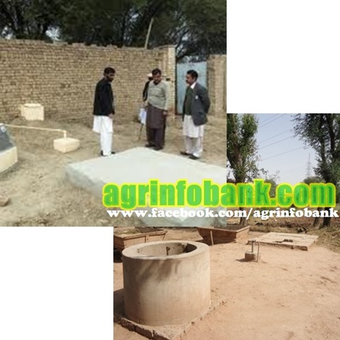 Biogas Hope for Pakistan