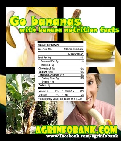 Go bananas with banana nutrition facts