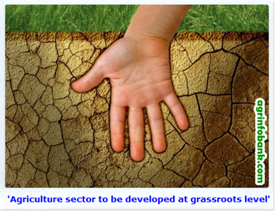 Agriculture sector to be developed at grassroots level