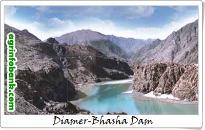 Diamer-Bhasha Dam: will Dar be able to convince World Bank?