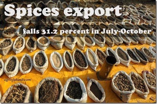 Spices export falls 31.2 percent in July-October